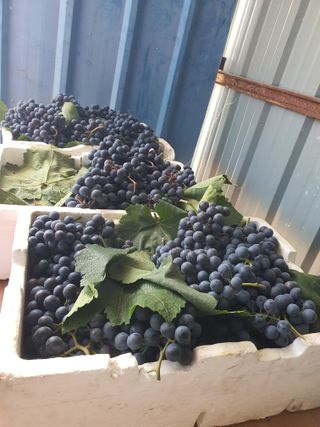 문순이님의 자유주제 · 자유게시판 작성글 사진