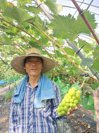이옥신님의 작성글 사진
