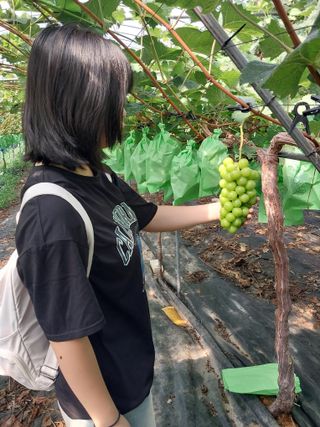 이옥신님의 작성글 사진