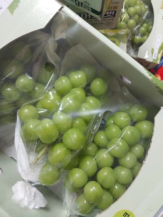 이옥신님의 작성글 사진