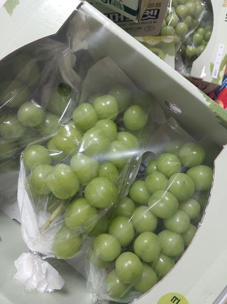 이옥신님의 작성글 사진