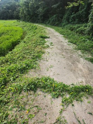 백화산지킴이산야초님의 벼 · 영농일지 작성글 사진