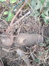 팜모닝 자유주제·자유게시판 게시글 이미지