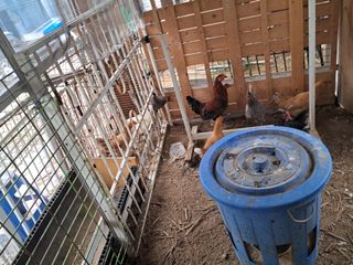 전희분님의 자유주제 · 자유게시판 작성글 사진