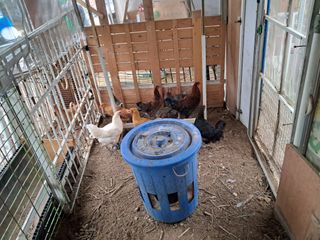 전희분님의 자유주제 · 자유게시판 작성글 사진