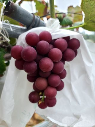 곽순영 님의 자유주제 · 자유게시판 작성글 사진