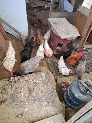 전희분님의 자유주제 · 자유게시판 작성글 사진