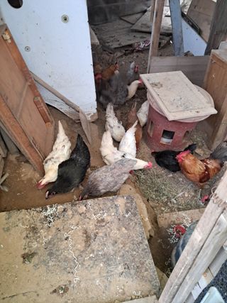 전희분님의 자유주제 · 자유게시판 작성글 사진