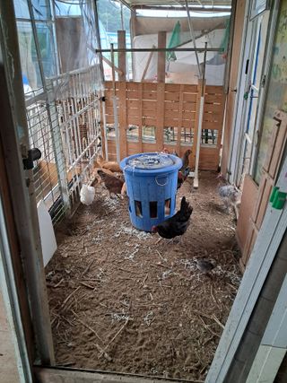 전희분님의 자유주제 · 자유게시판 작성글 사진