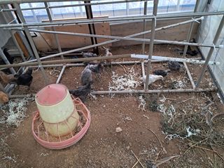 전희분님의 자유주제 · 자유게시판 작성글 사진