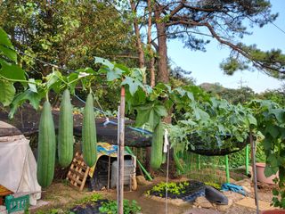 김완연님의 작성글 사진