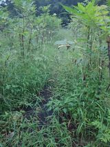 팜모닝 자유주제·자유게시판 게시글 이미지