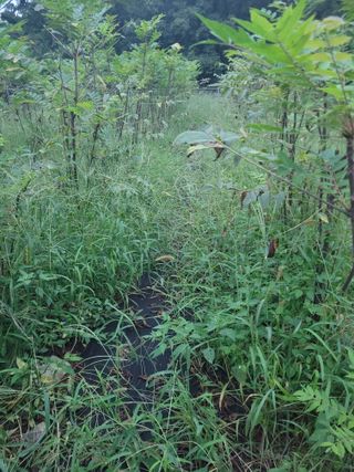 나는 나님의 자유주제 · 자유게시판 작성글 사진
