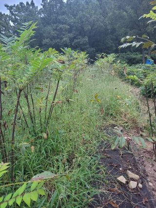 나는 나님의 자유주제 · 자유게시판 작성글 사진