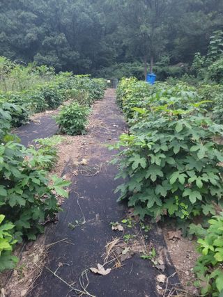 나는 나님의 자유주제 · 자유게시판 작성글 사진