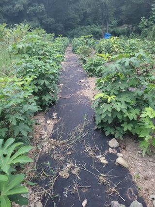 나는 나님의 자유주제 · 자유게시판 작성글 사진