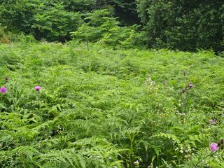 이신님의 9월 농사계획 공유하기 · 참여글 작성글 사진