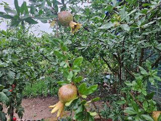 이신님의 9월 농사계획 공유하기 · 참여글 작성글 사진