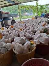 팜모닝 자유주제·자유게시판 게시글 이미지