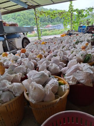 욕심내지말자님의 자유주제 · 자유게시판 작성글 사진