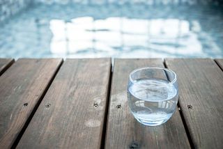 도화소녀님의 자유주제 · 자유게시판 작성글 사진