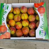 팜모닝 · 게시글 이미지