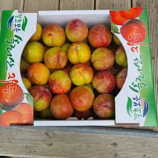 황대규님의 작성글 사진