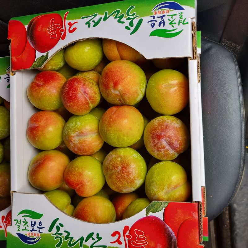 황대규님의 장터 판매 상품 [추희자두] 첨부 사진