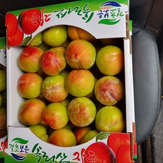 황대규님의 작성글 사진