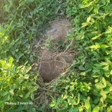 팜모닝 기타작물·영농일지 게시글 이미지