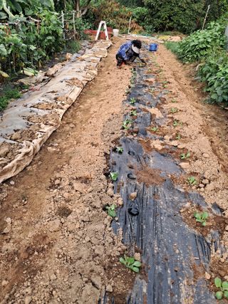 최한기님의 자유주제 · 건의해요 작성글 사진