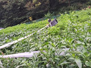 최한기님의 자유주제 · 건의해요 작성글 사진