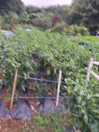 최한기님의 자유주제 · 건의해요 작성글 사진