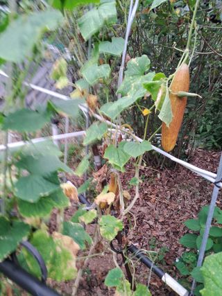 최한기님의 자유주제 · 건의해요 작성글 사진