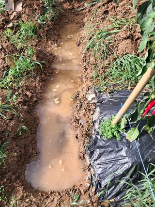 최한기님의 자유주제 · 건의해요 작성글 사진