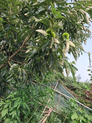 최한기님의 자유주제 · 건의해요 작성글 사진