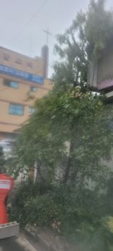 팜모닝 자유주제·사진전 게시글 이미지