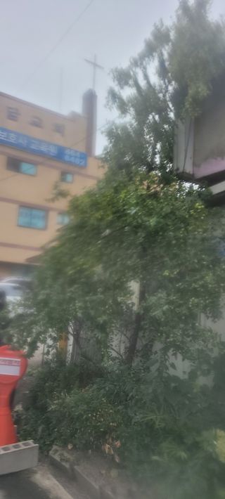 신현덕님의 자유주제 · 사진전 작성글 사진