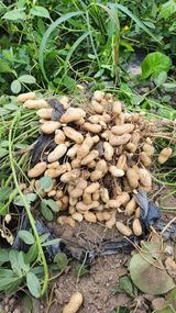 팜모닝 자유주제·사진전 게시글 이미지