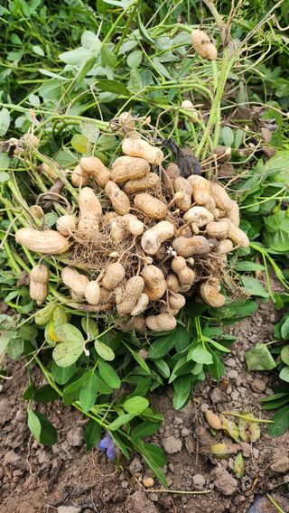 박종기님의 자유주제 · 사진전 작성글 사진