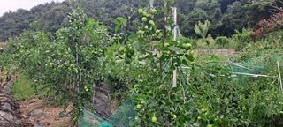 장준재님의 자유주제 · 자유게시판 작성글 사진