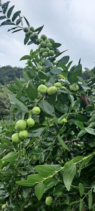 장준재님의 자유주제 · 자유게시판 작성글 사진