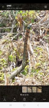 팜모닝 자유주제·자유게시판 게시글 이미지