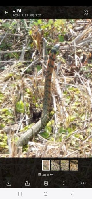 양기수님의 자유주제 · 자유게시판 작성글 사진