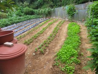 농녀님의 자유주제 · 자유게시판 작성글 사진