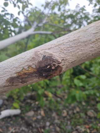 김용대님의 자유주제 · 자유게시판 작성글 사진