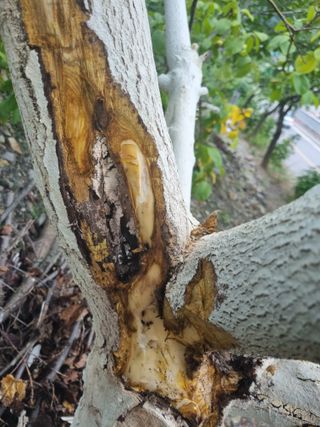 김용대님의 자유주제 · 자유게시판 작성글 사진