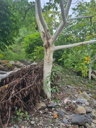 김용대님의 자유주제 · 자유게시판 작성글 사진