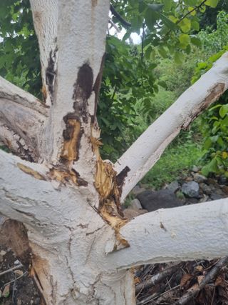 김용대님의 자유주제 · 자유게시판 작성글 사진