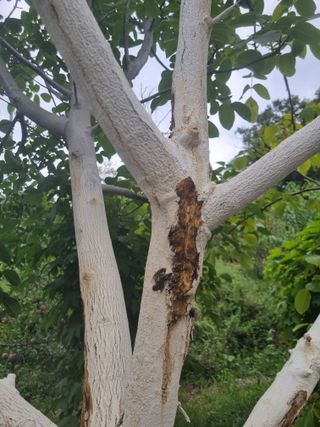 김용대님의 자유주제 · 자유게시판 작성글 사진